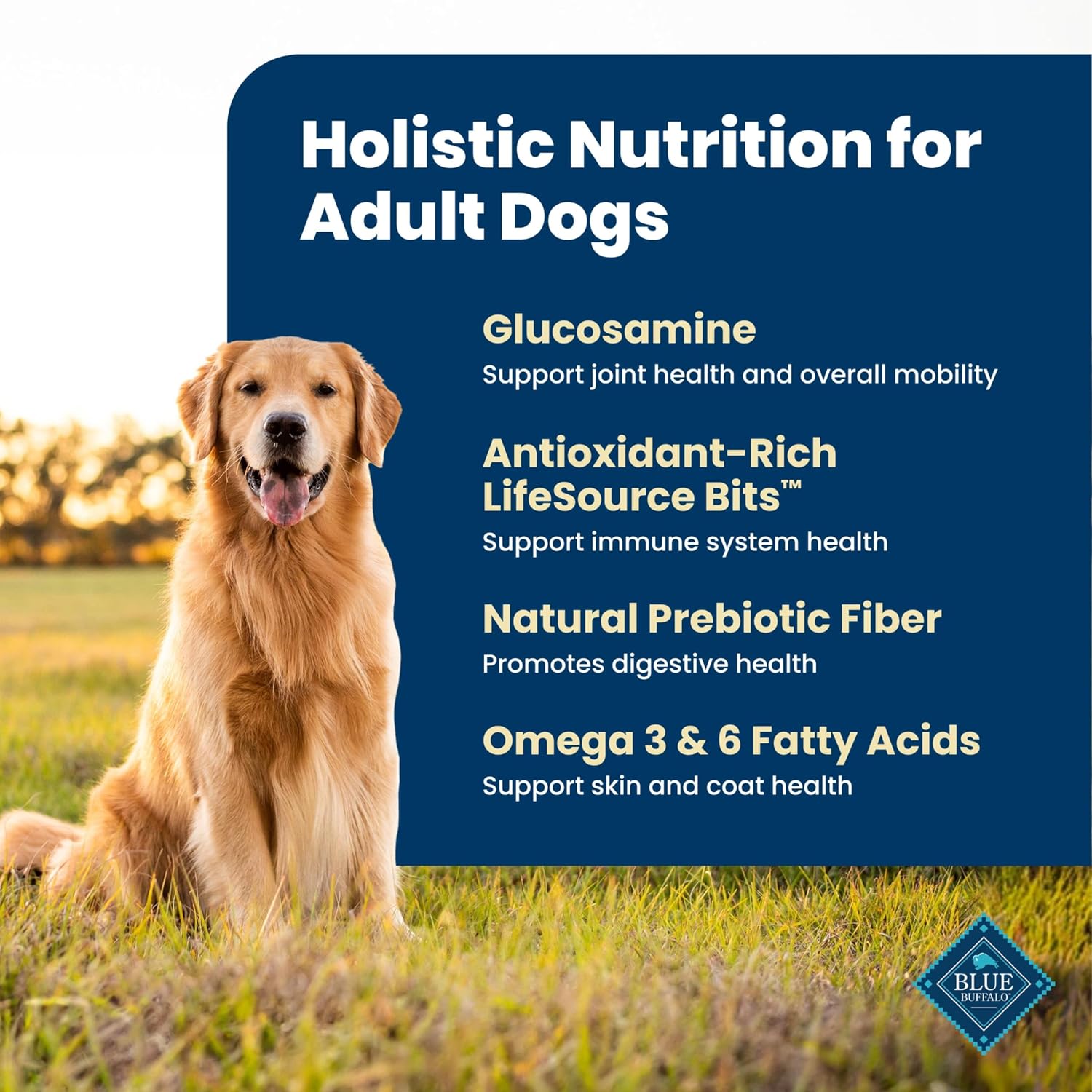 Blue Buffalo Life Protection Formula Lamb Adult Dry Dog Food, 40 lb | Real Lamb #1 Ingredient, Supports Immunity with Antioxidant-Rich LifeSource Bits, Promotes Healthy Muscle Development