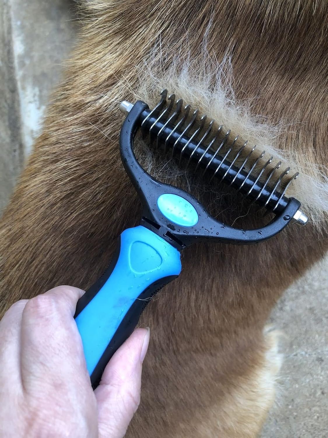Pet Grooming Brush & Nail Clippers Trimmers - Double Sided Shedding and Dematting Undercoat Rake Comb for Dogs and Cats - Safe Dematting Comb for Easy Mats & Tangles Removing (Blue), Large