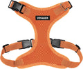 Voyager Step-in Pet Harness - All Weather Mesh, Adjustable Step in Harness for Cats and Dogs by Best Pet Supplies - Orange, M