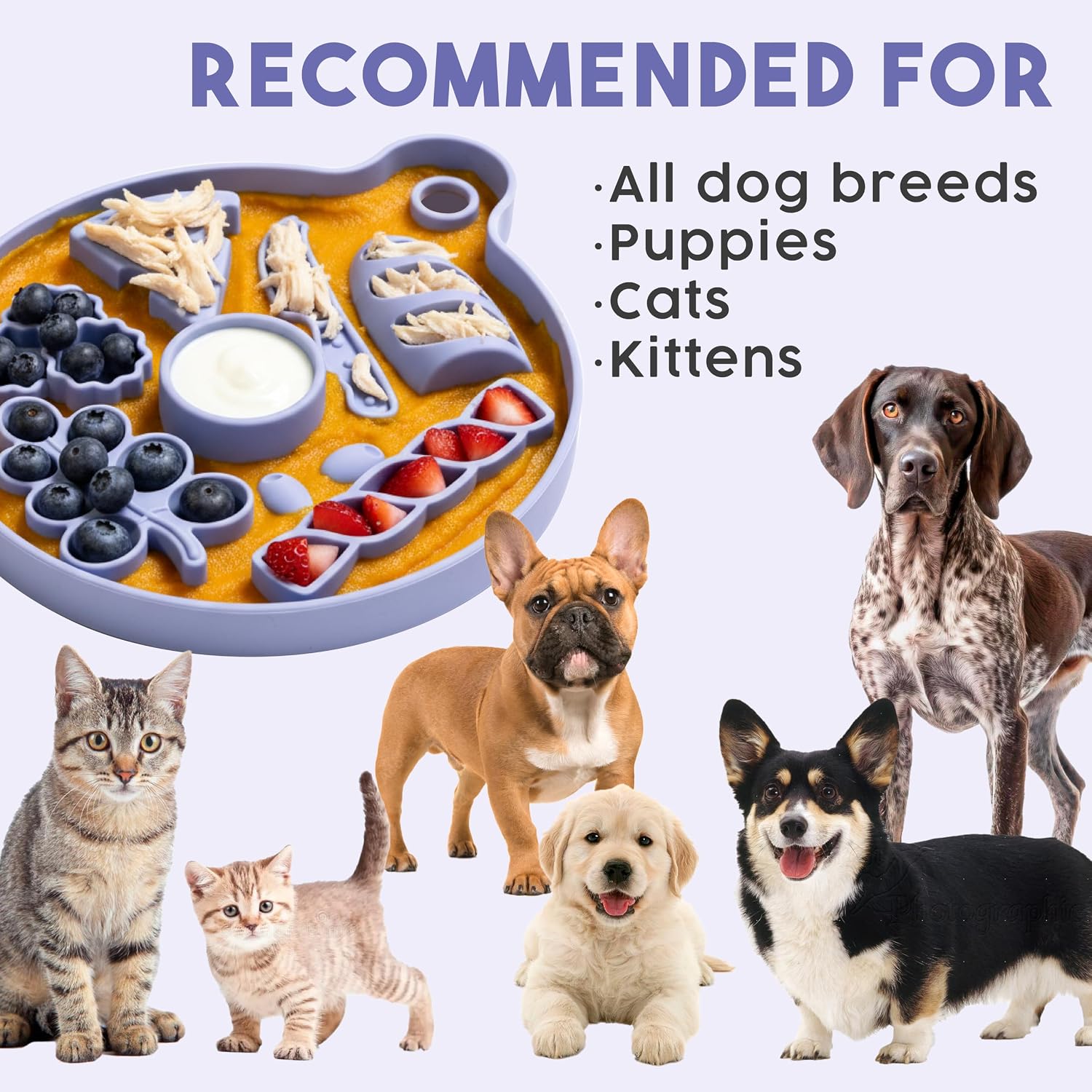 Smorgasboard - Silicone Dog and Puppy Lick Mat and Slow Feeder with Suction Cups - Non-Slip, Dishwasher Safe Pet Dish - Extends Mealtime for Fast Eaters - for Wet & Dry Food (Sage)
