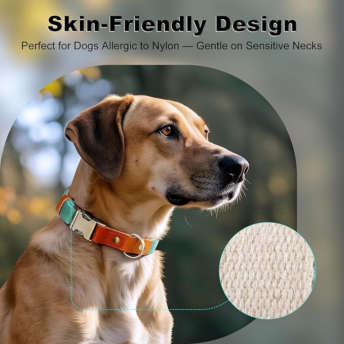 Plutus Pet Genuine Leather & Hemp Dog Collar – Adjustable Heavy Duty Pet Collar with Quick Release Metal Buckle, Soft & Stylish for Puppy and Small, Medium, Large Dogs (Green, M)