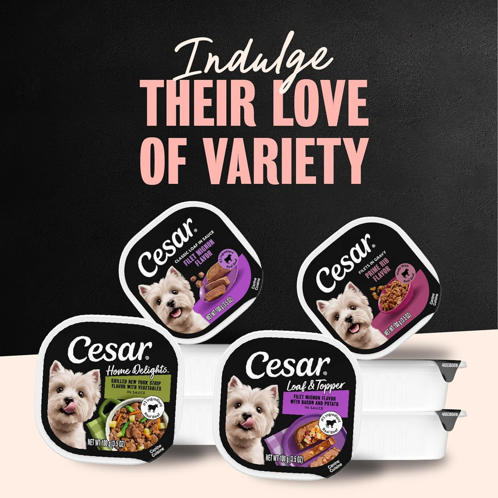 Cesar Wet Dog Food, Steak Lovers Variety Pack, 3.5 oz, 36 Count | Real meat #1 ingredient, easy peel trays, 100% complete & balanced, no fillers, no added sugar, no artificial flavors