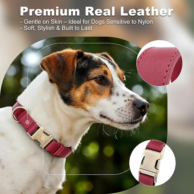 Plutus Pet Genuine Leather Dog Collar – Adjustable Pet Collar with Quick Release Metal Buckle, Soft Real Leather for Small Medium Large Dogs, Heavy Duty & Skin-Friendly (Burgundy, XS)