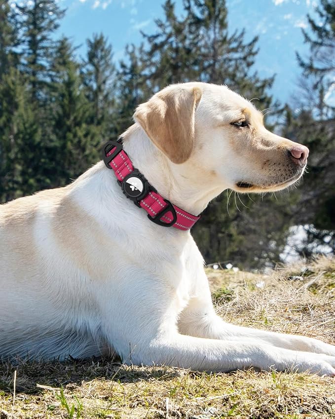 Joytale Airtag Dog Collar, Reflective Pet Collar with Waterproof AirTag Holder, Dual D-Rings, Soft Padded Adjustable for Medium Dogs, Hotpink, M