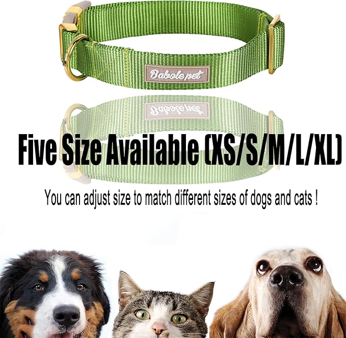 Nylon Dog Collar - Adjustable Green Soft Webbing Dog Collars for Small Medium Large Dogs Boy Girl Puppy Collar with Safety Metal Buckle L