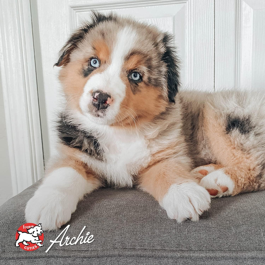 Fromm Classic Adult Chicken & Rice Pate Dog Food - Premium Wet Dog Food - Chicken Recipe - Case of 12 Cans