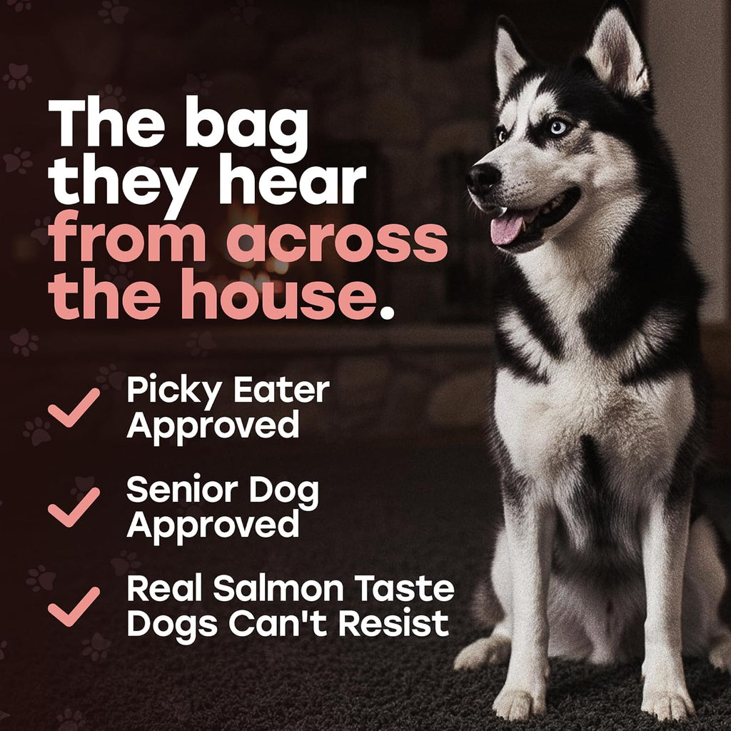 Freeze-Dried Raw Salmon Dog Treats - Single Protein, Grain-Free | Wild-caught salmon with sweet potato and omega-3; no fillers; training reward or kibble topper