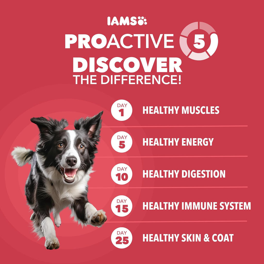 IAMS Proactive Health Minichunks Dry Dog Food, Lamb & Rice, 30 lb | Real Lamb #1 Ingredient, Omega-6 Fatty Acids for Skin & Coat, Natural Fiber & Prebiotics, No Fillers or Artificial Flavors