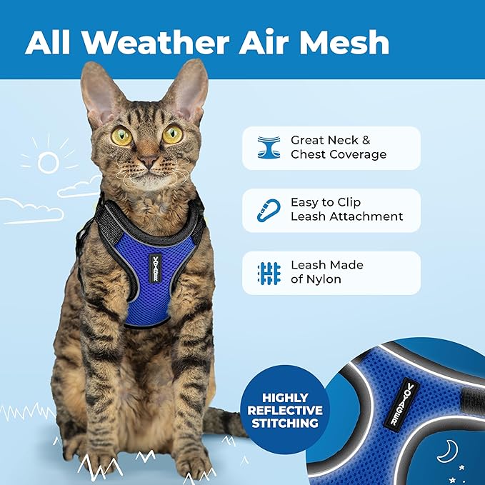 Voyager Escape-Proof Step-in Lock Cat Harness & 5ft Neoprene-Handle Leash Set All-Weather Mesh with Reflective Stitching for Small to Large Cats by Best Pet Supplies, Black Trim-Royal Blue (327), S