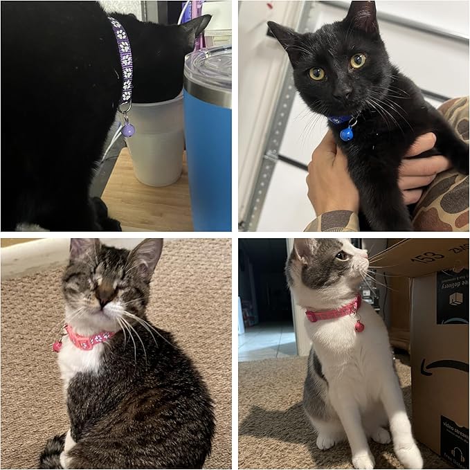 Hot Pink Kitten Collar with Bells, [2 Pack] Light Blue Break Away Cat Collar with Bells, Reflective Cat Collar for Boy Cats Kitty