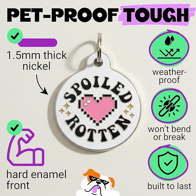 Bad Tags Personalized Dog and Cat ID Tags in 25+ Designs and 2 Sizes - 5 Lines of Custom Engraved Text - Funny Cute Personalized Pet Tags (Spoiled Rotten, Large (1.25 inch))