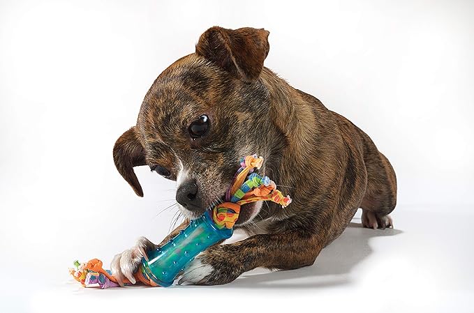 Petstages Orka Mini Dental Dog Chew Toys - 3 Pack