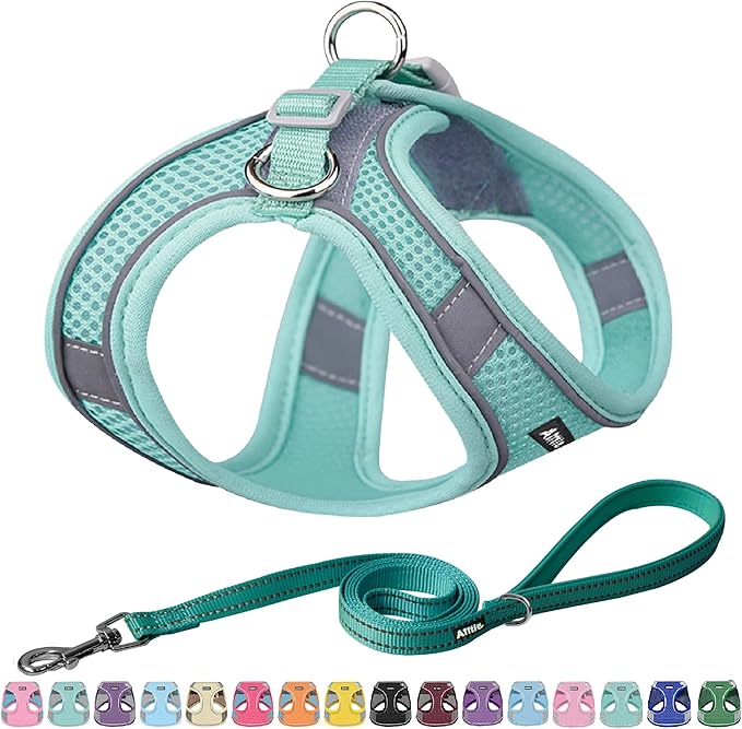 AIITLE Escape Proof Dog Harness - Step in Adjustable Dog Harness No Choke Over with Breathable Mesh and Quick-Release Buckle - Outdoor Walking, Training for Medium Dogs Pure Turquoise XL