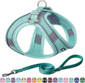 AIITLE Comfortable Dog Harness and Leash Set for Walking - Step in Vest Harness,Reflective Bands, Adjustable No Pull Puppy Essentials, for Small Dogs and House Cats Pure Turquoise XS