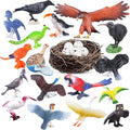 SIENON 23Pcs Birds Toys Playset, Assorted Wildlife Bird Figures with Nest, Raven, Kiwi, Ostrich, Macaw, Golden Eagle for Kids Educational Birthday Cake Décor Garden Accessories School Project