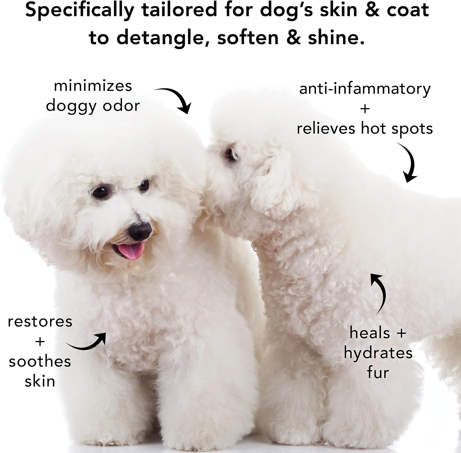 Pride and Groom The Non Shedder Box Set – Dog Shampoo & Conditioner with All Natural Blend of Essential Oils & Ingredients to Heal and Nourish for Long Lasting Shine & Manageability – 32oz