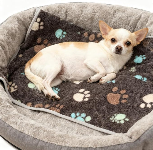 12 Pcs Small Dog Blanket Fleece Puppy Blankets Washable Pet Blankets for Cats Soft Flannel Paw Printed Throw for Guinea Pig Indoor Kittens Doggie (23 X 16 Inch,Dark Gray)