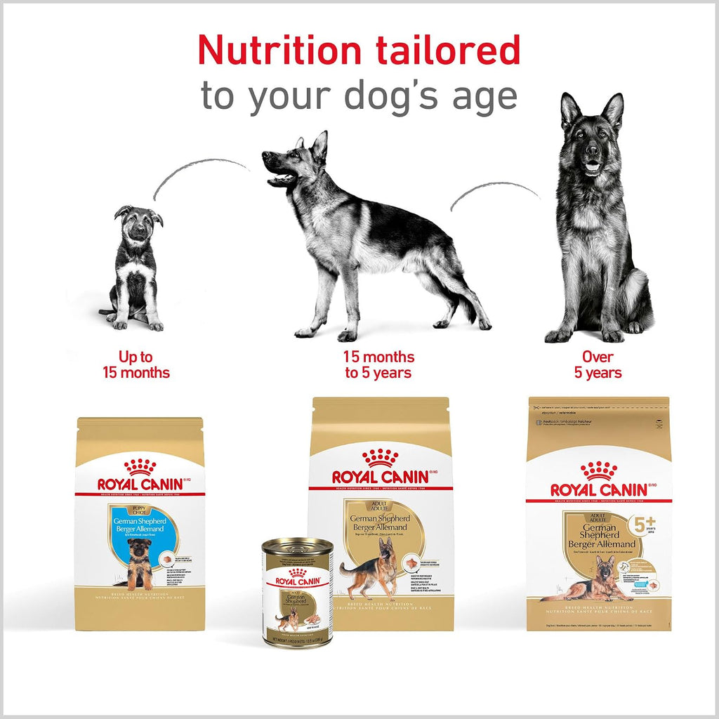 ROYAL CANIN German Shepherd Adult Dry Dog Food, 5 lb Bag | Digestive Health, Skin Health, Bone & Joint Support, For Adult German Shepherds 15+ Months, Specialized Kibble