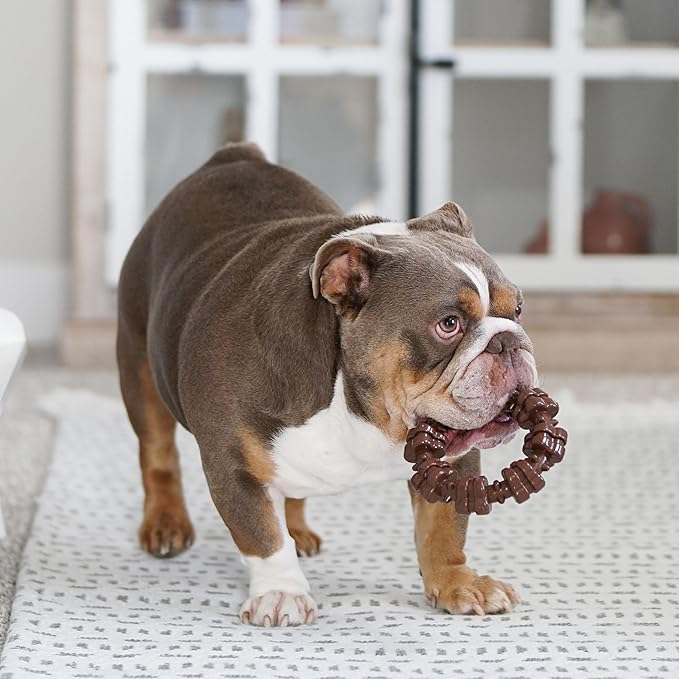 Nylabone Customer Favorites Power Chew Toy Bundle for Dogs, Indestructible Dog Toys for Aggressive Chewers, Pack of 3 Dog Toys, Flavor Medley, Large Dogs - Up to 50 lbs, 3 Pack