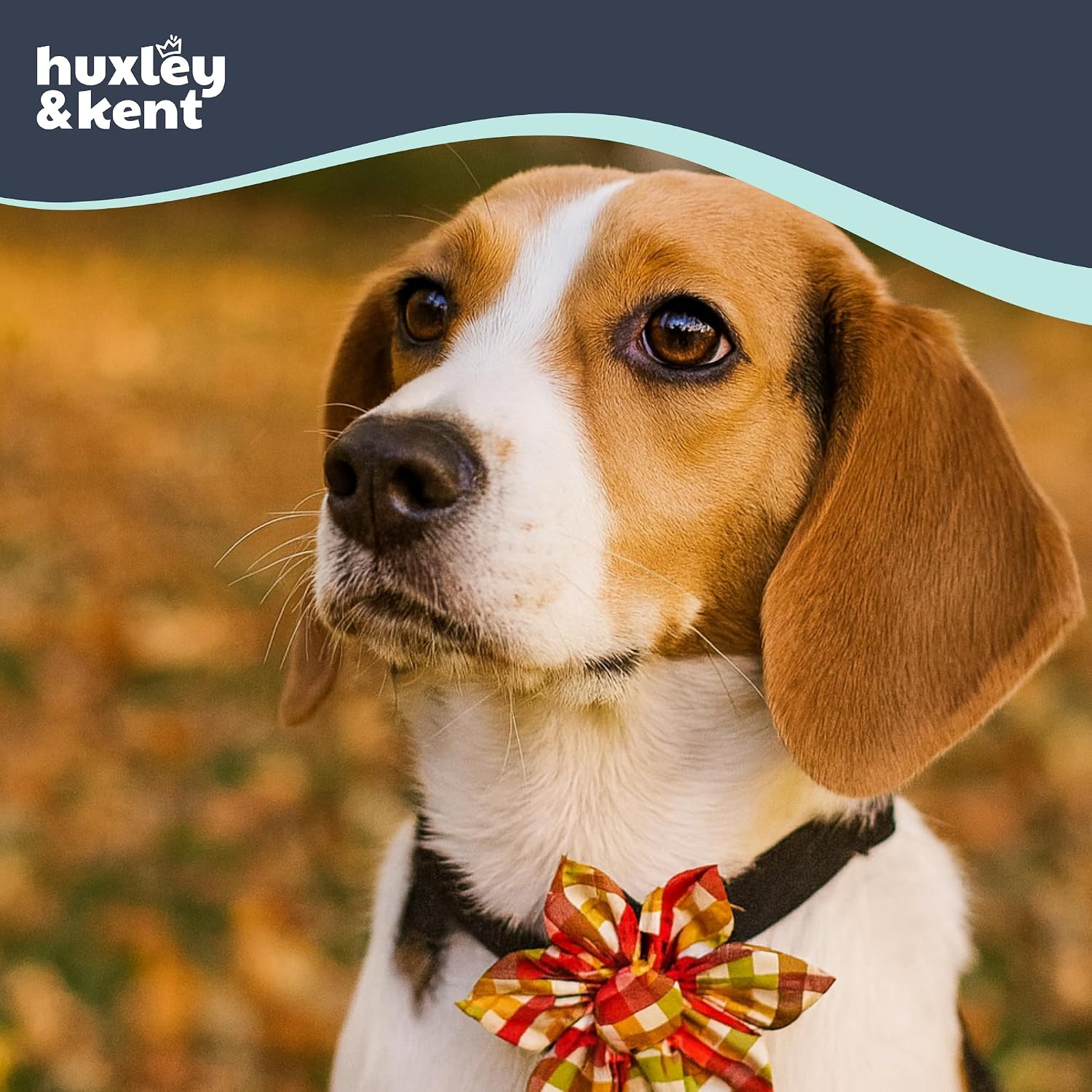 Huxley & Kent Pet Pinwheel Bow for Dogs & Cats - Fall Adjustable Hook & Loop Collar Accessory - Cute & Comfortable for Holidays & Celebrations - Harvest Check, Large | Clips to Any Collar with Hook & Loop, Soft, Lightweight, Machine Washable, Great for