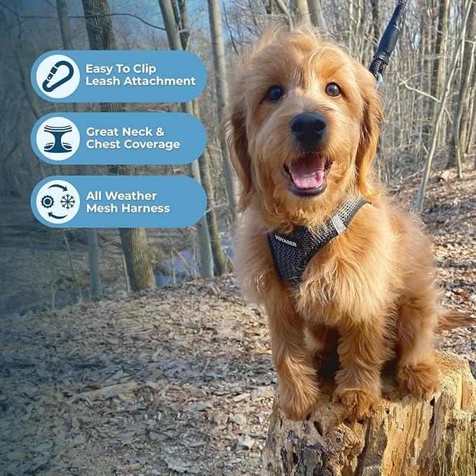 Best Pet Supplies Voyager Step-in Air All Weather Mesh Harness and Reflective Dog 5 ft Leash Combo with Neoprene Handle, for Small, Medium and Large Breed Puppies - Gray (2-Tone), XS