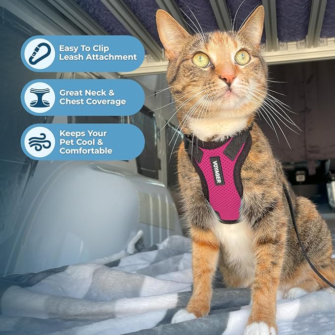 Voyager Escape-Proof Step-in Lock Cat Harness & 5ft Neoprene-Handle Leash Set All-Weather Mesh with Reflective Stitching for Small to Large Cats by Best Pet Supplies, Fuchsia/Black Trim, XXXS