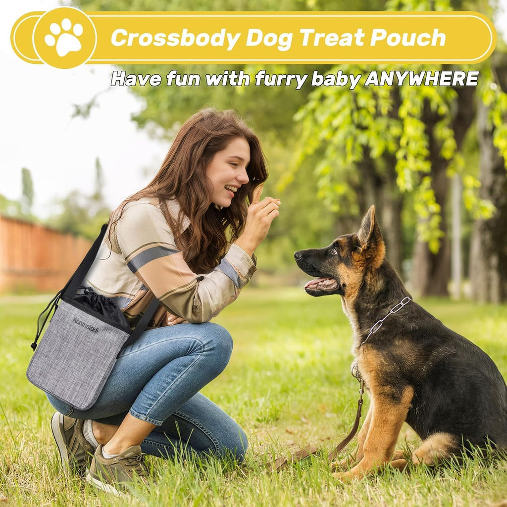 6 Set Dog Travel Bag, Large Pet Travel Kit for Supplies, Grey | Includes 2 Food Containers, 1 Pet Organizer for Dogs, 2 Collapsible Bowls, 1 Treat Pouch, Dog Weekend Overnight Bag Luggage