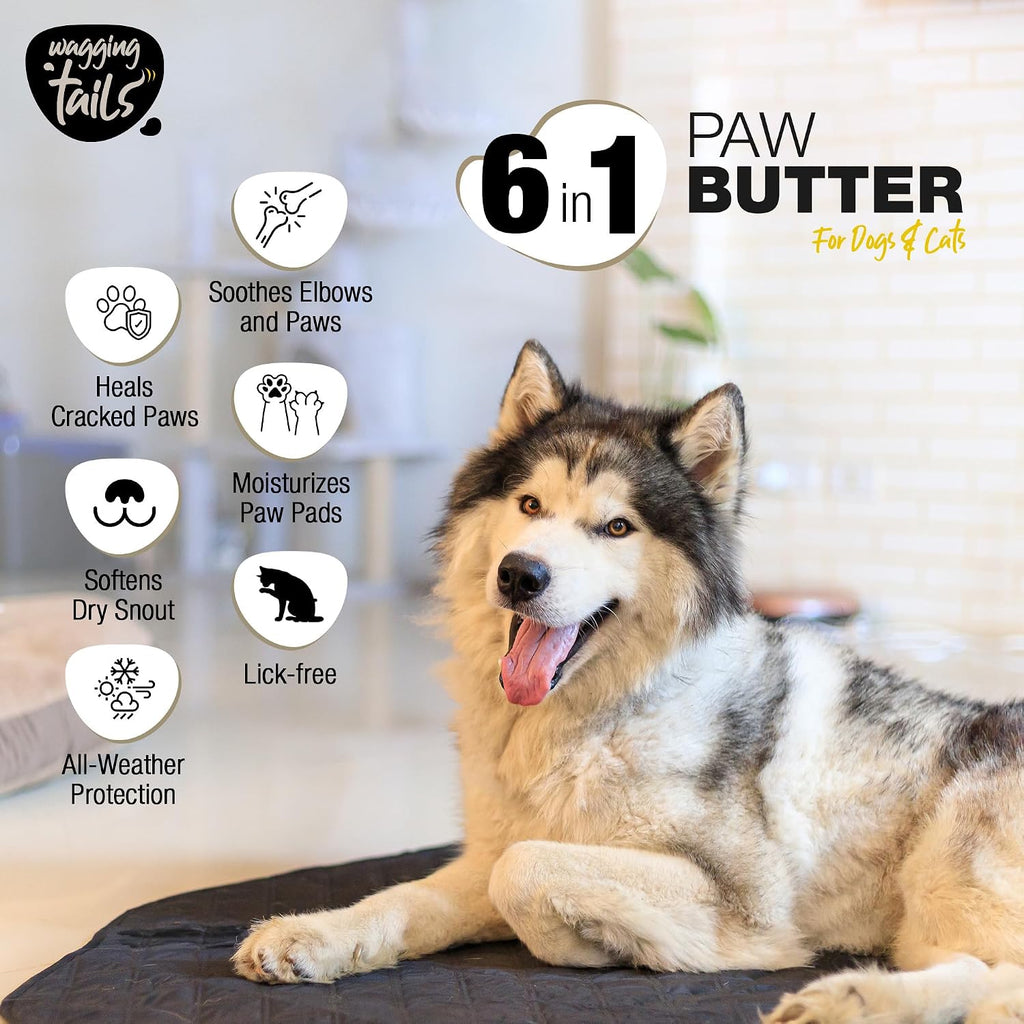 Wagging Tails Paw Butter for Dogs & Cats | Protects Dry Paw Pads, Snouts & Elbows |All-Weather Protection with Shea Butter, Coconut Oil & Beeswax |Lick-Safe - 1.76 fl oz
