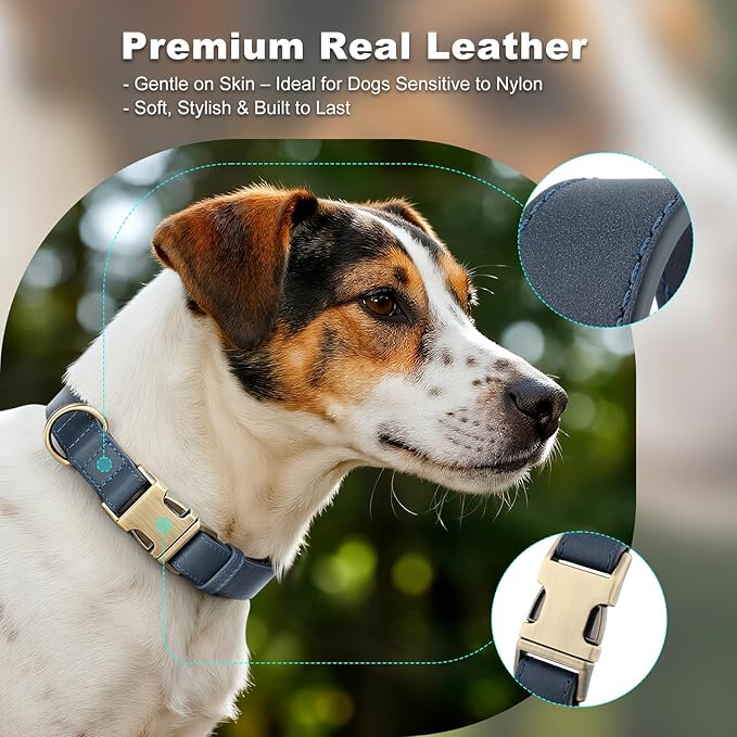 Plutus Pet Genuine Leather Dog Collar – Adjustable Pet Collar with Quick Release Metal Buckle, Soft Real Leather for Small Medium Large Dogs, Heavy Duty & Skin-Friendly (Blue, M)
