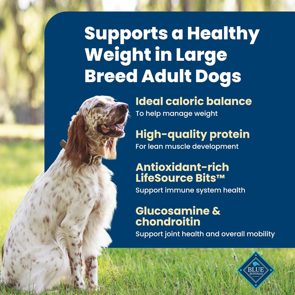 Blue Buffalo Life Protection Formula Healthy Weight Large Dog Food, 34 lb | Real Chicken #1 Ingredient, Promotes Lean Muscles & Weight Control in Large Breed Dogs, Antioxidant-Rich LifeSource Bits