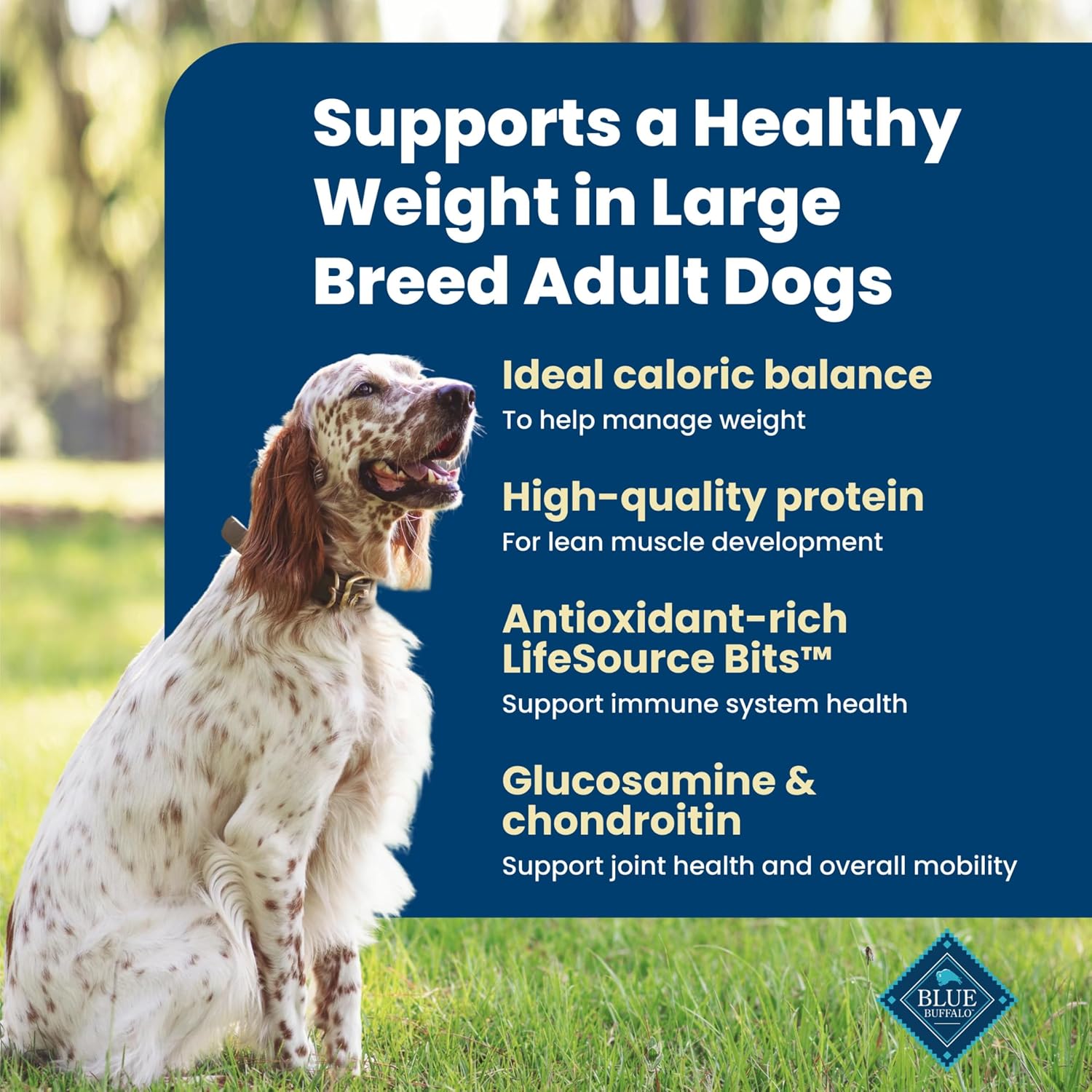 Blue Buffalo Life Protection Formula Healthy Weight Large Dog Food, 34 lb | Real Chicken #1 Ingredient, Promotes Lean Muscles & Weight Control in Large Breed Dogs, Antioxidant-Rich LifeSource Bits