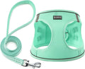 Dog Harness with Leash Set, No Pull Adjustable Reflective Step-in Puppy Pet Vest Harnesses for Small Medium Large Dogs and Cats,Green XS