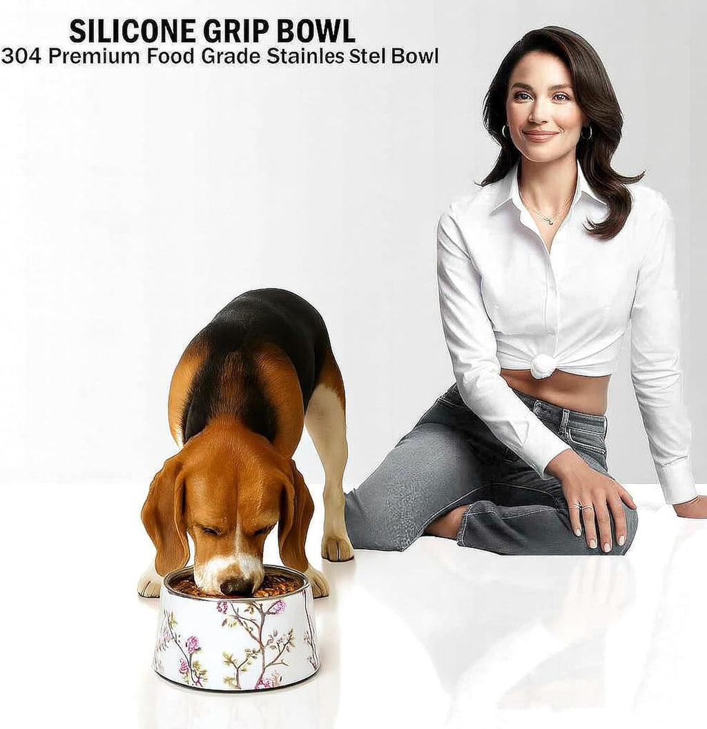 Ceramic pet Bowl 5 inch Height for Cats and Small Dogs & Toy Breeds | For cats and (10-25lbs)small dogs 2cup (540ml) food feeder, 304 food-grade stainless steel bowl, non-slip ceramic base, white