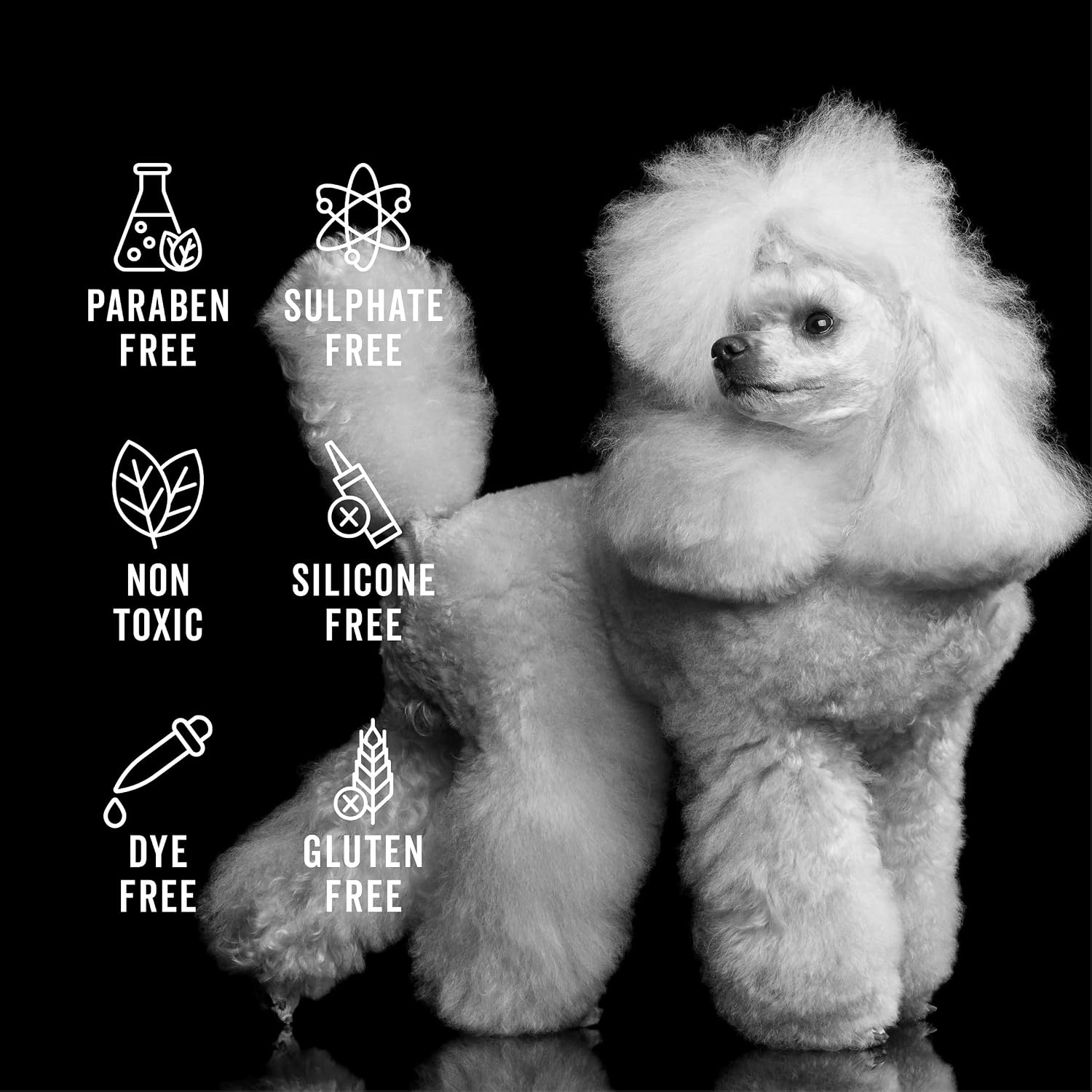 Pride and Groom The Non Shedder Box Set – Dog Shampoo & Conditioner with All Natural Blend of Essential Oils & Ingredients to Heal and Nourish for Long Lasting Shine & Manageability – 32oz