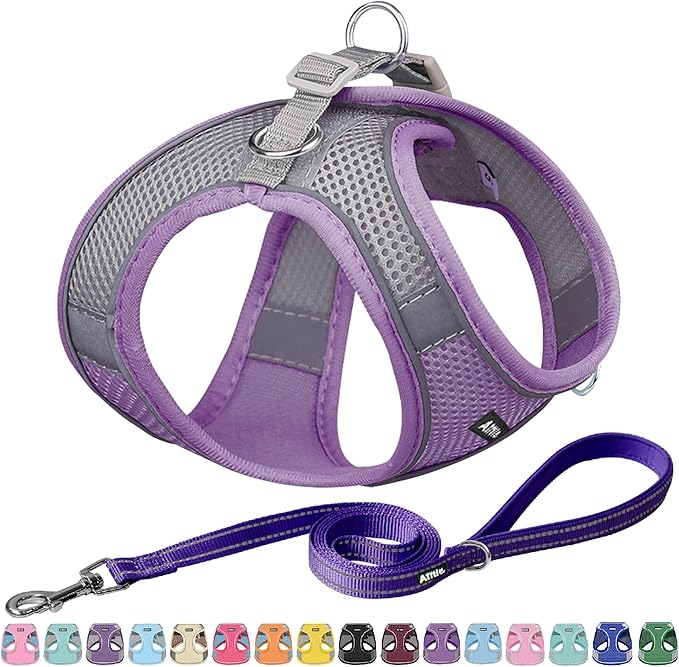 AIITLE Comfortable Dog Harness and Leash Set for Walking - Step in Vest Harness,Reflective Bands, Adjustable No Pull Puppy Essentials, for Small Dogs and House Cats Purple XS