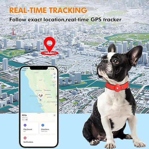 2-in-1 GPS Tracker for Dogs&Cats: Smart Collar with Real-Time Location, No Monthly Fee, Unlimited Range (iOS Only) GPS Tracker Dog Collar- Ideal for Small, Medium Large Dogs(Tracker Included)