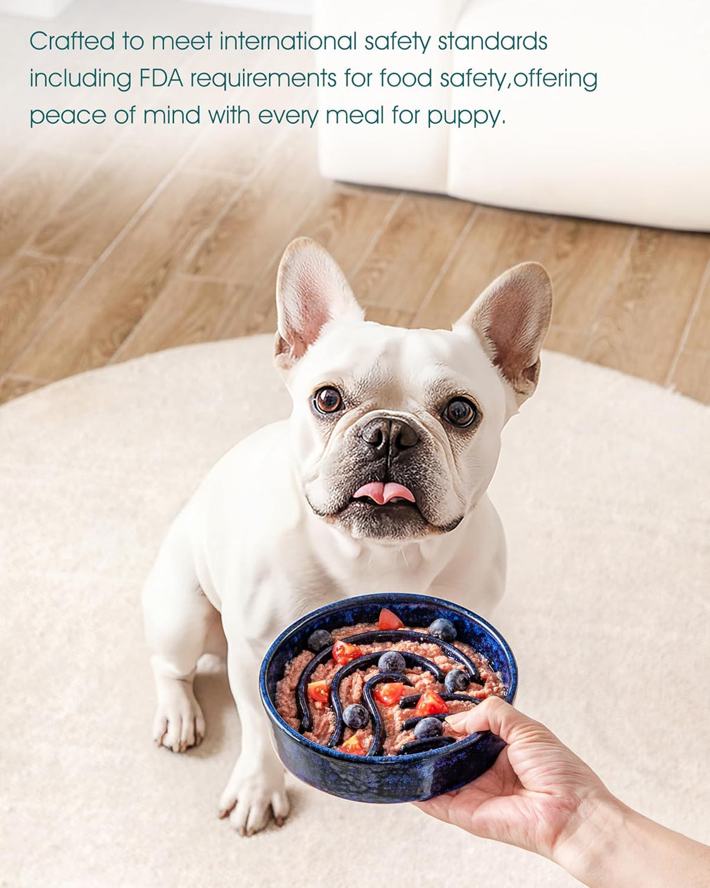 vancasso Slow Feeder Dog Bowl, 0.6 Cup Ceramic Slow Feeding Food Dish for Small Breed, Puzzle Dog Food Bowl for Fast Eater, Blue