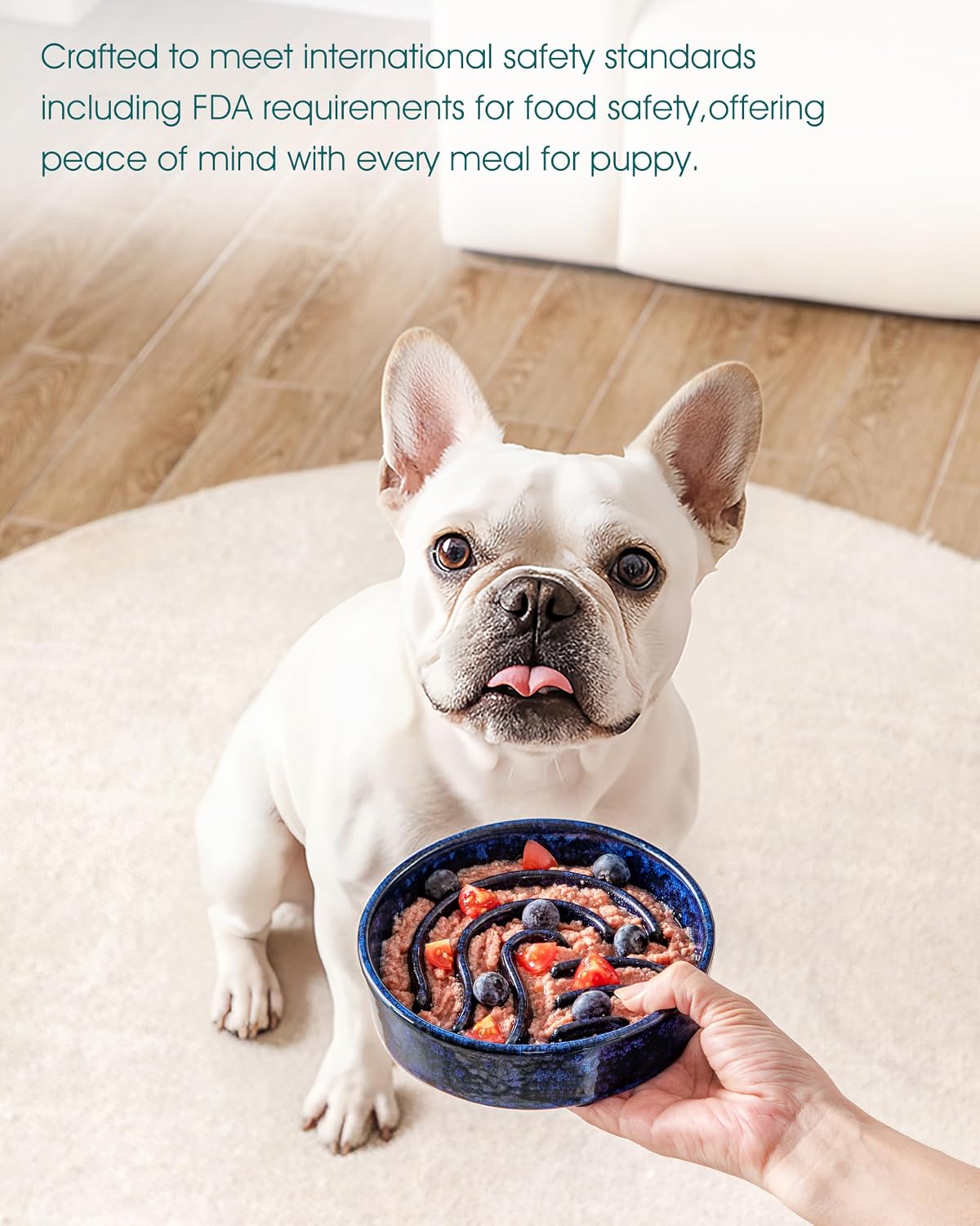 vancasso Slow Feeder Dog Bowl, 0.6 Cup Ceramic Slow Feeding Food Dish for Small Breed, Puzzle Dog Food Bowl for Fast Eater, Blue