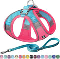 AIITLE Comfortable Dog Harness and Leash Set for Walking - Step in Vest Harness,Reflective Bands, Adjustable No Pull Puppy Essentials, for Small Dogs and House Cats Hot Pink XS