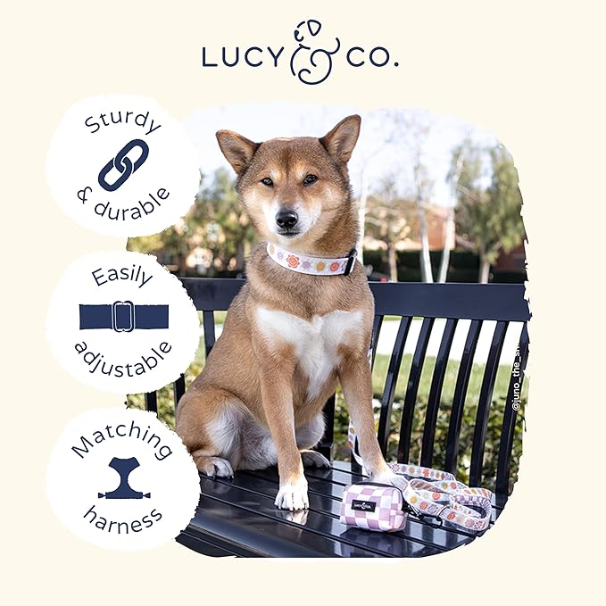 Lucy & Co. Among The Wildflowers Dog Collar - Durable Lightweight Designer Collar for Pets - Adjustable Metal Safety Buckle - Purple Floral - Small
