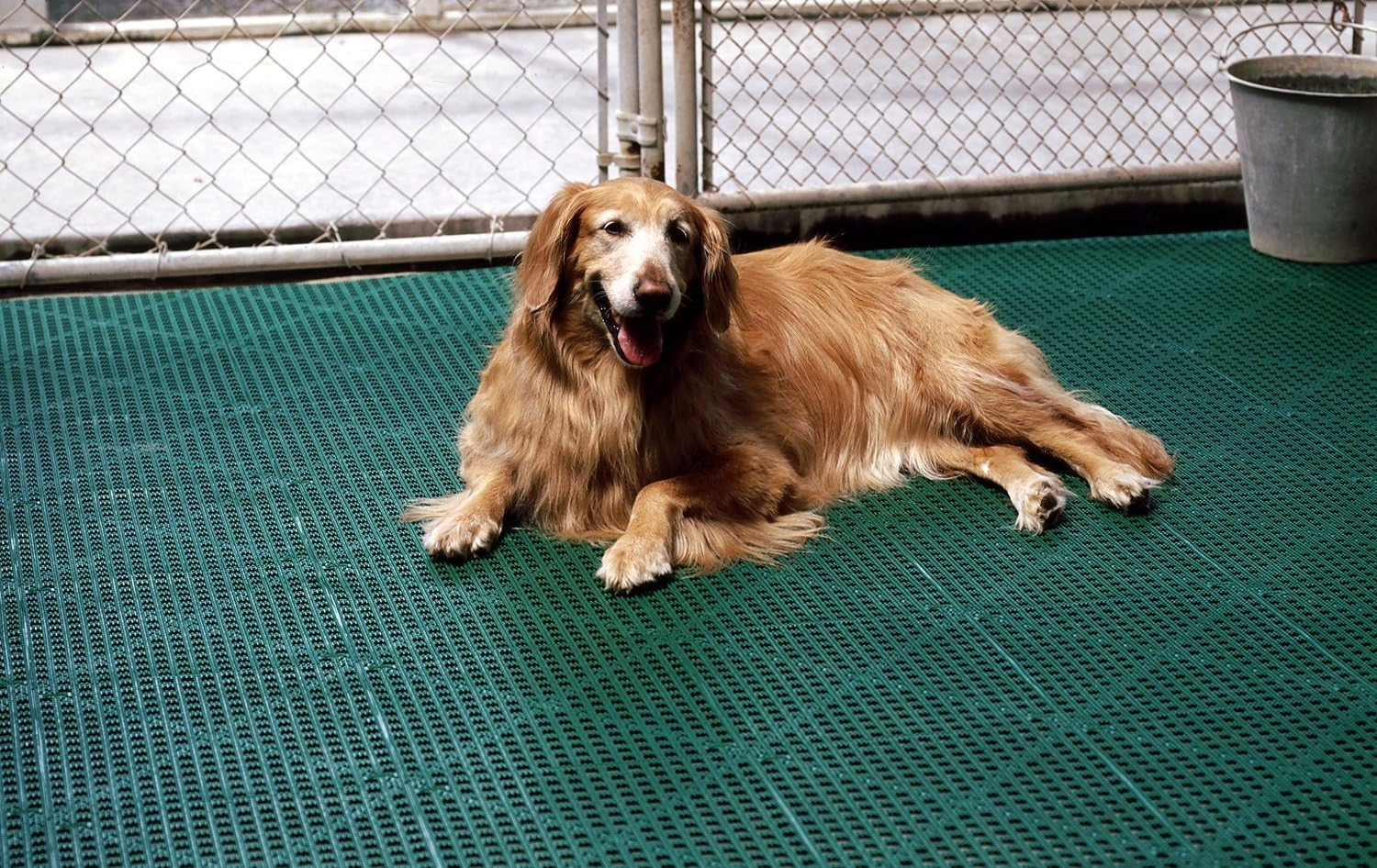 Dri-Dek® Dog & Cat Kennel Cage Liner, Veterinarian or Groomer Flooring - 1'x1' Interlocking Tiles - 12-Pack (Gray)