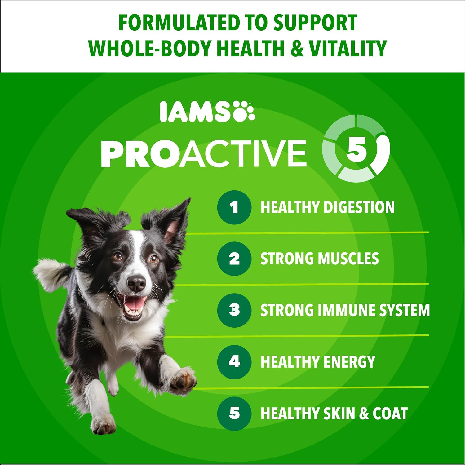 IAMS Proactive Health Adult Minichunks Dry Dog Food, Chicken, 40 lb | Real chicken #1 ingredient, no fillers, natural fiber & prebiotics, Omega-6 fatty acids, antioxidants for immune support