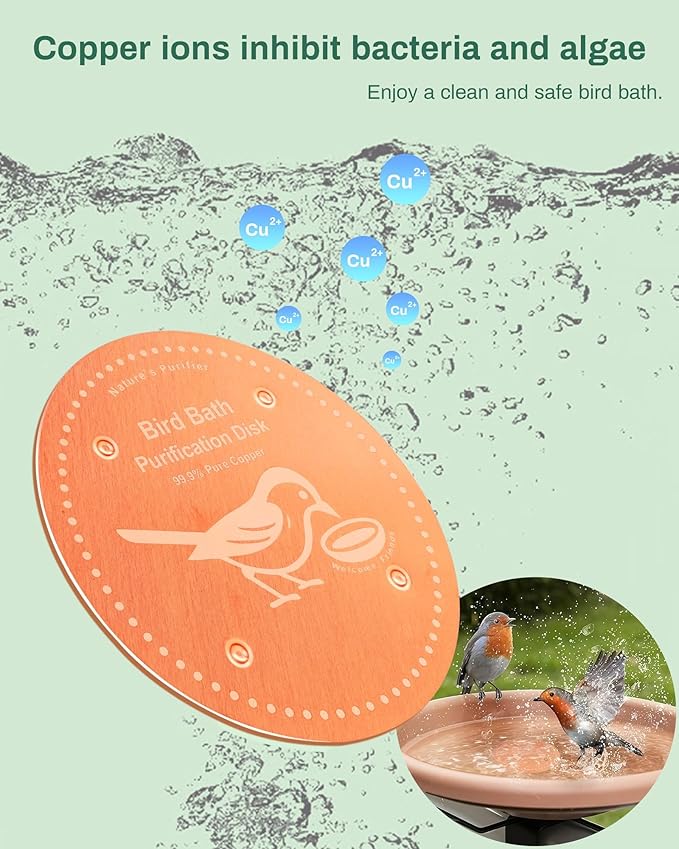 Bird Bath Purification Disk Pure Copper Outside Winter Solar Power Birdbath Wild Hummingbird Pedestal Fountain Cleaner Outside Humming Feeder Cage Dispenser Heater Outdoor Concrete Winter 3PCS