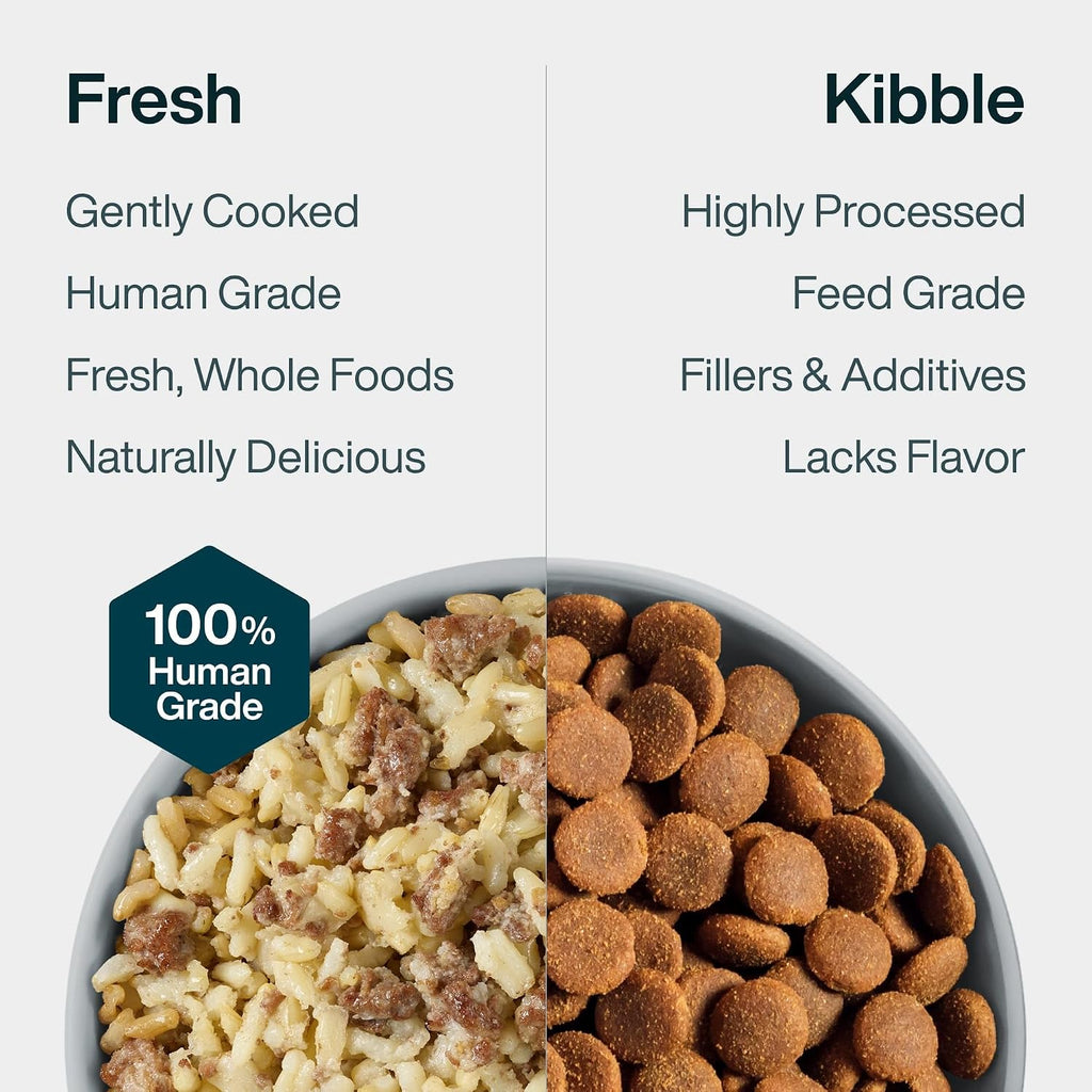 JustFoodForDogs JustFresh Fresh Sensitive Stomach Dog Food Pouches - 7 Pack | Shelf Stable Dog Food for Sensitive Stomachs, Human-Grade Turkey & Rice, Gentle Digestion, Gut Health Support, 12 Oz Pouch