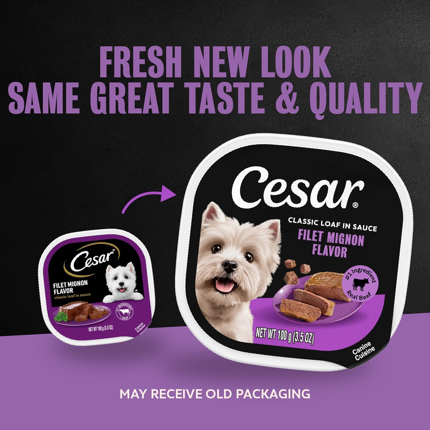 Cesar Classic Loaf in Sauce Wet Dog Food, Filet Mignon, 3.5 oz, 24 Count | Made in USA, Real beef #1 ingredient, no fillers/added sugar/artificial flavors, use as meal or topper, easy peel trays
