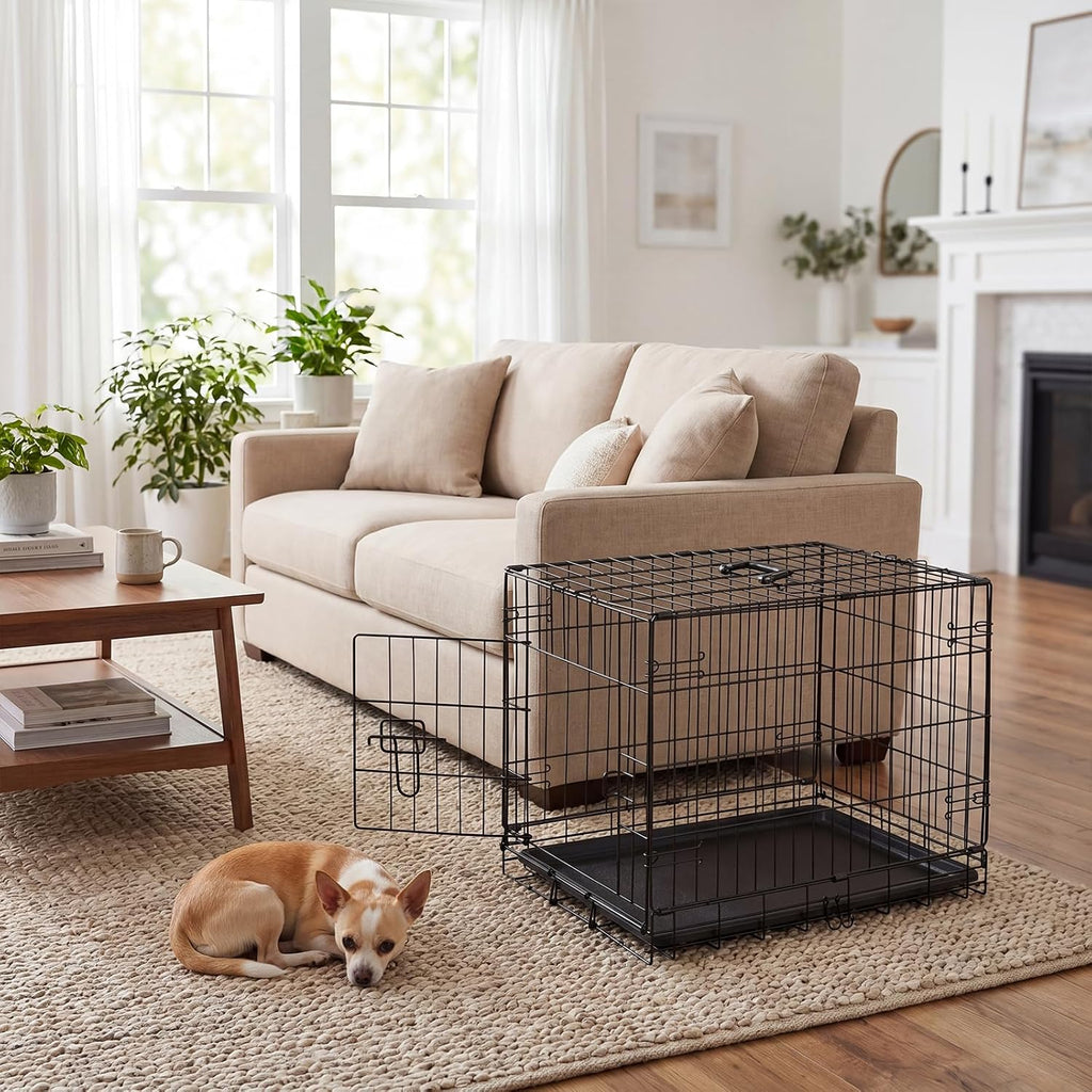 Small Dog Crate 24 Inch, Metal Wire Foldable Dog Cage Kennel | Double Door, Secure Lock, Plastic Leak-Proof Pan Tray, Indoor Outdoor Training Pet