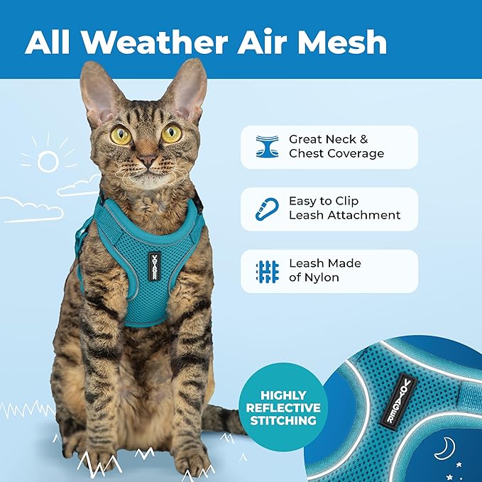 Voyager Escape-Proof Step-in Lock Cat Harness & 5ft Neoprene-Handle Leash Set All-Weather Mesh with Reflective Stitching for Small to Large Cats by Best Pet Supplies, Turquoise (327), M