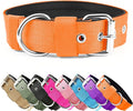 Heavy Duty Tactical Dog Collar - 1.5" Width Military Durable Thick Nylon with Adjustable Metal D Ring & Buckle Working Training K9 Collar for Medium Large Dogs (M(17"-20"), Orange)