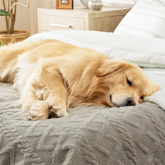 Bedsure Waterproof Dog Blankets for Bed - Pet Blanket for Bed Couch Protector Washable, Jacquard Coral Fleece Cat Throw Blanket, Soft Plush Reversible Furniture Protection, Queen, 86x90, Pale Oak