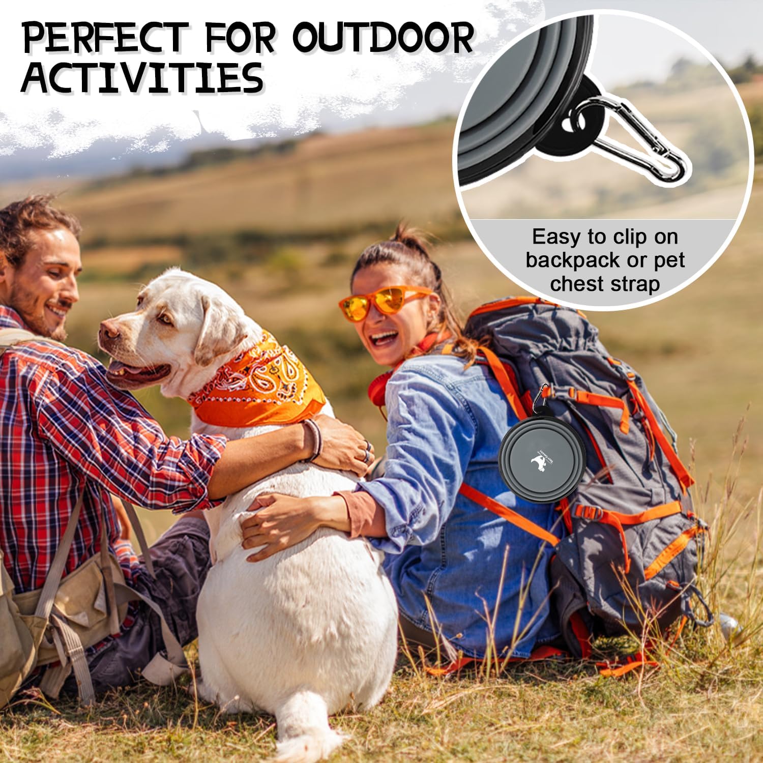 Collapsible Dog Bowls for Travel, 2-Pack Dog Portable Water Bowl for Dogs Cats Pet Foldable Feeding Watering Dish for Traveling Camping with Carabiners, BPA Free (Grey&Black, Small (Pack of 2))
